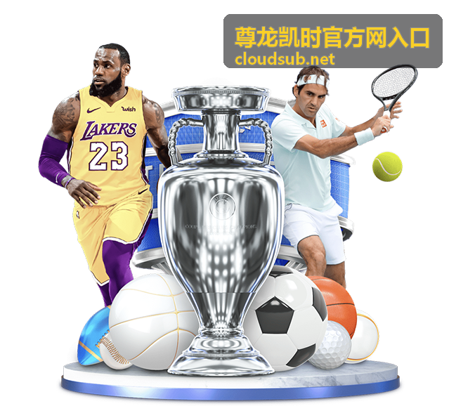 尊龙凯时官方网入口安装权限设置