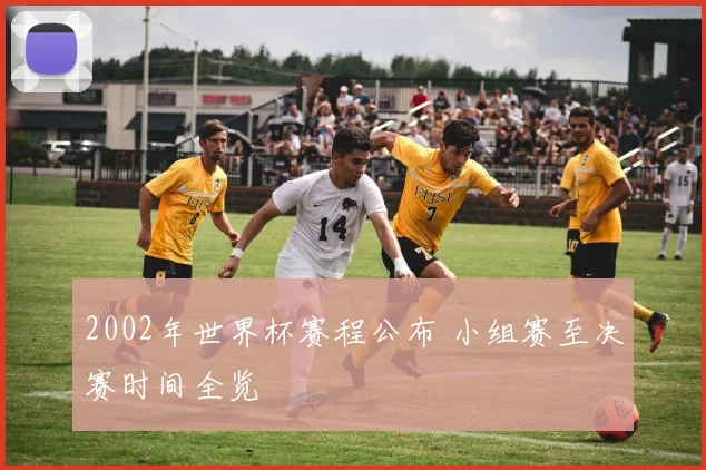 2002年世界杯赛程公布 小组赛至决赛时间全览